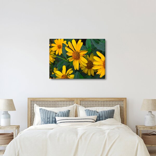 Sárga virágok képe (70x50 cm)