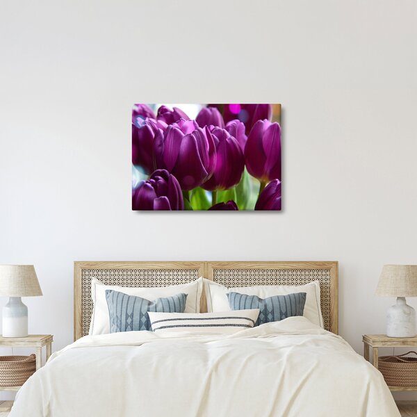 Tulipán képe (70x50 cm)