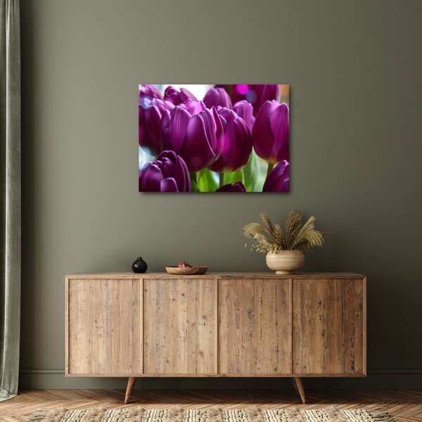Tulipán képe (70x50 cm)