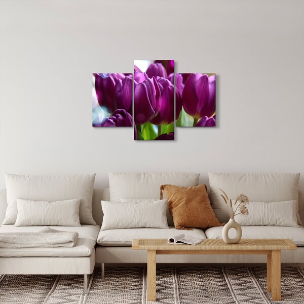 Tulipán képe (90x60 cm)