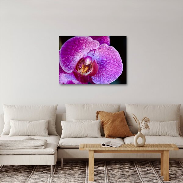 Részletes kép az orchidea virágról (70x50 cm)