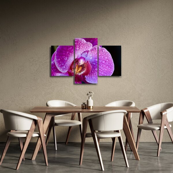 Részletes kép az orchidea virágról (90x60 cm)