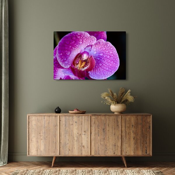 Részletes kép az orchidea virágról (90x60 cm)