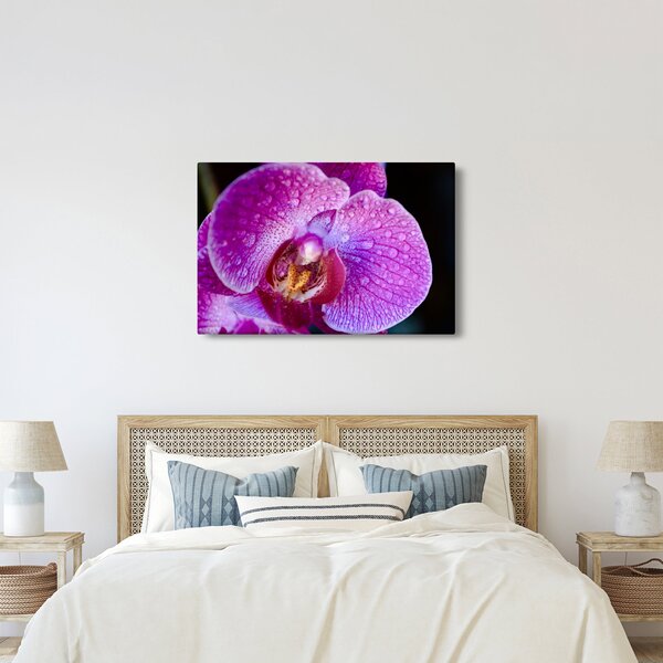 Részletes kép az orchidea virágról (90x60 cm)
