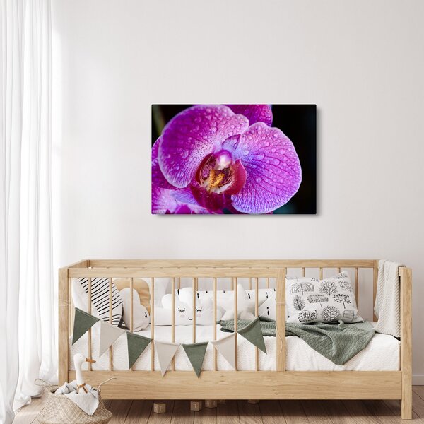 Részletes kép az orchidea virágról (90x60 cm)
