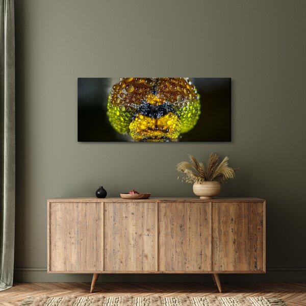 Részletes kép a rovar szemről (120x50 cm)