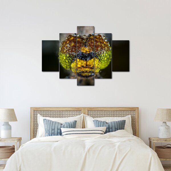 Részletes kép a rovar szemről (150x105 cm)