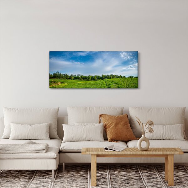 Rét képe (120x50 cm)