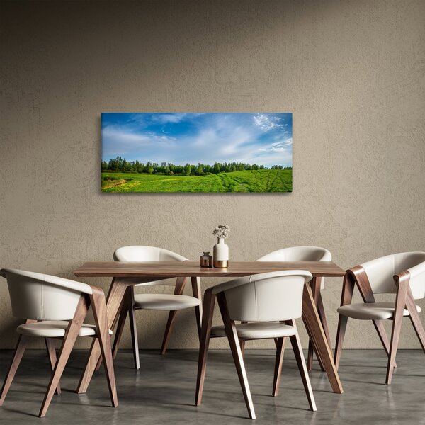 Rét képe (120x50 cm)