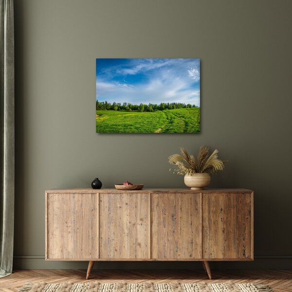 Rét képe (70x50 cm)