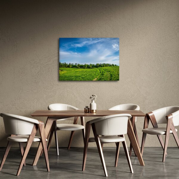 Rét képe (70x50 cm)
