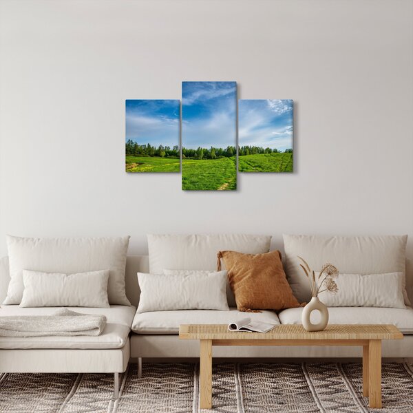 Rét képe (90x60 cm)