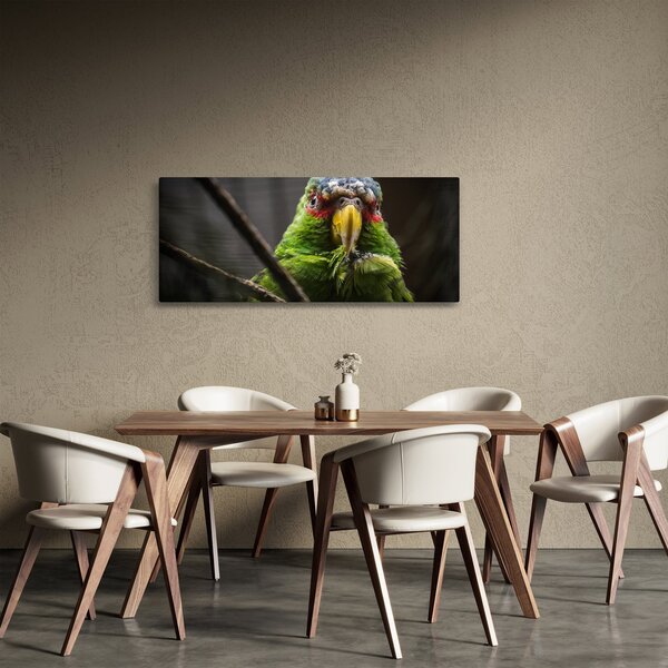Papagáj képe (120x50 cm)