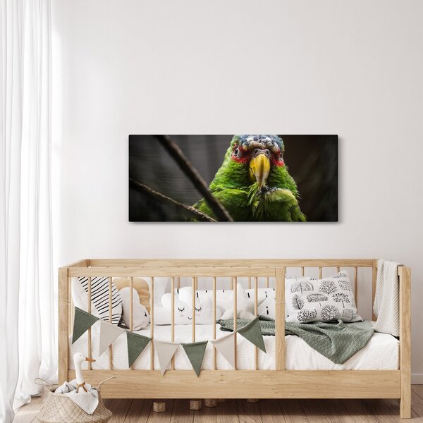 Papagáj képe (120x50 cm)
