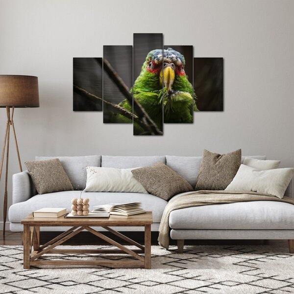 Papagáj képe (150x105 cm)