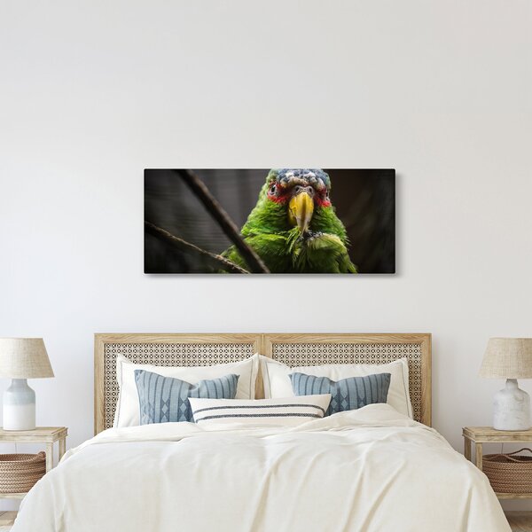 Papagáj képe (120x50 cm)