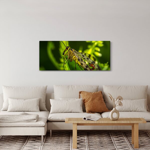 Rovar képe (120x50 cm)