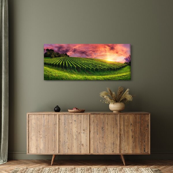 Szőlőskert és a színes égbolt képe (120x50 cm)