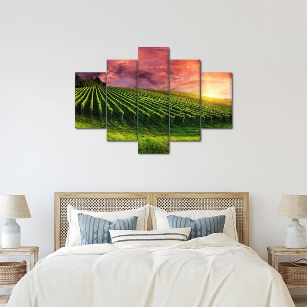 Szőlőskert és a színes égbolt képe (150x105 cm)