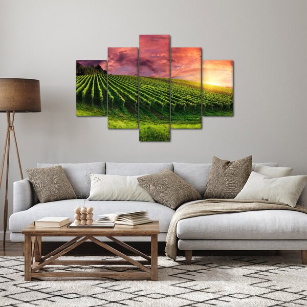 Szőlőskert és a színes égbolt képe (150x105 cm)