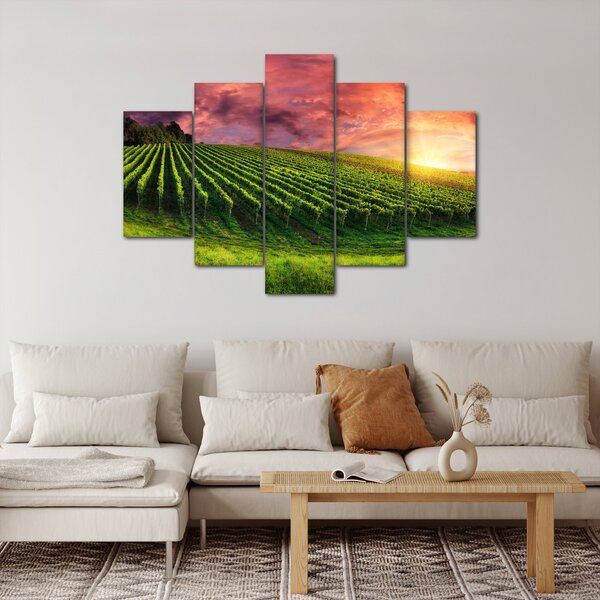 Szőlőskert és a színes égbolt képe (150x105 cm)
