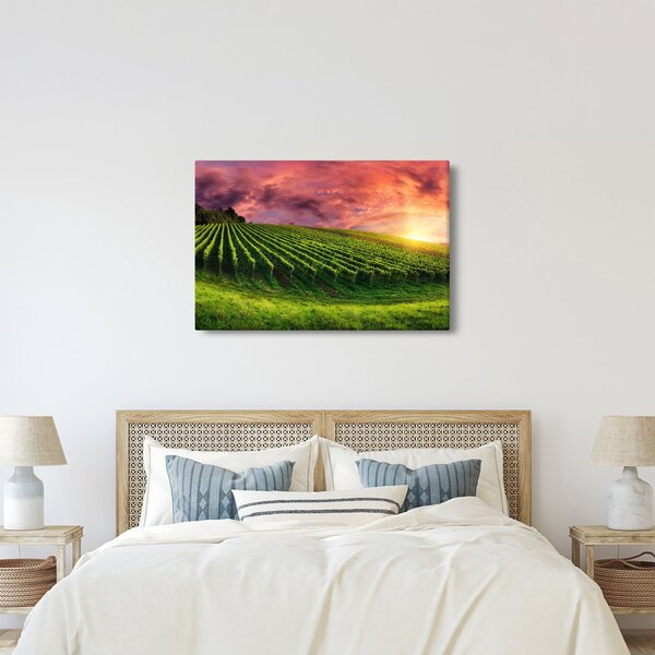 Szőlőskert és a színes égbolt képe (90x60 cm)