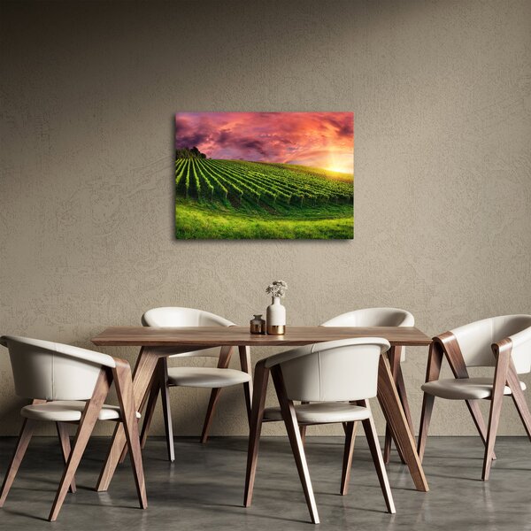Szőlőskert és a színes égbolt képe (70x50 cm)