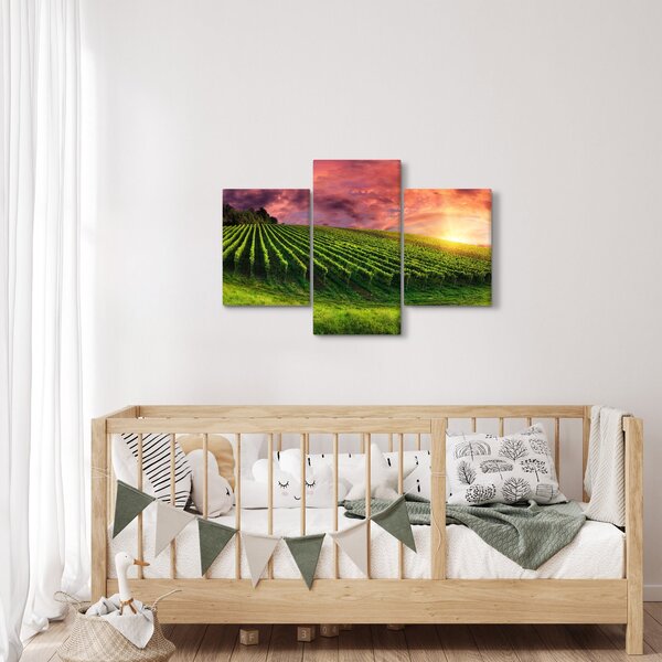 Szőlőskert és a színes égbolt képe (90x60 cm)