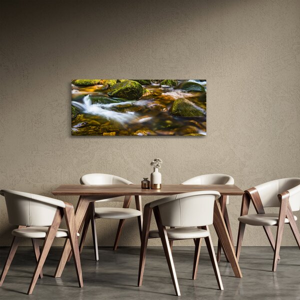 Patak képe (120x50 cm)