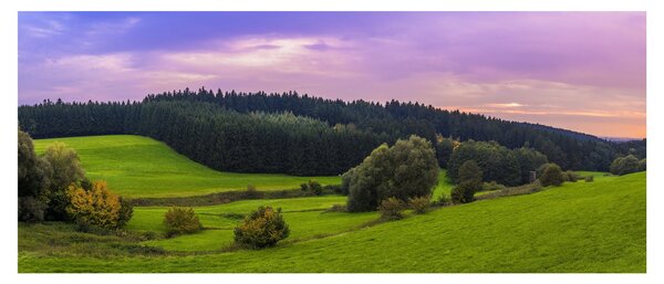 Rét képe (120x50 cm)