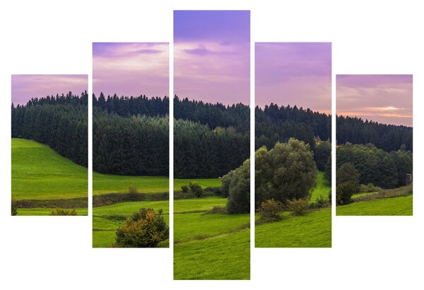 Rét képe (150x105 cm)