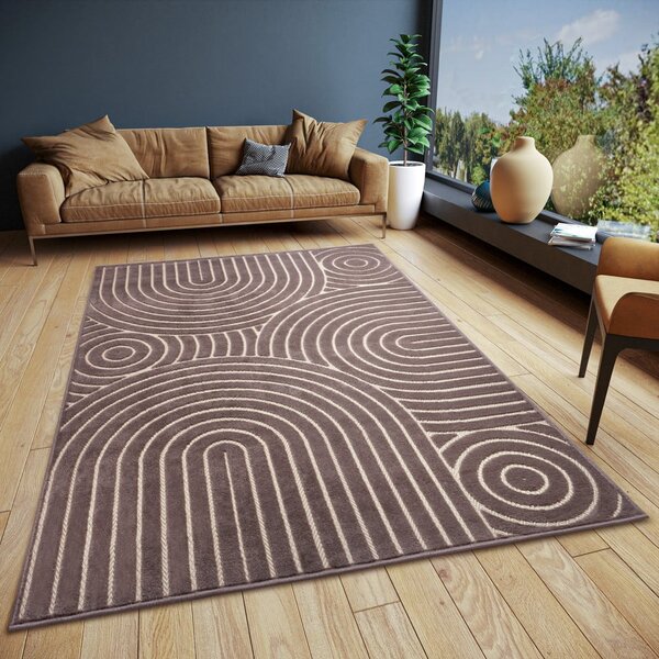 Barna szőnyeg 160x235 cm Iconic Wave – Hanse Home