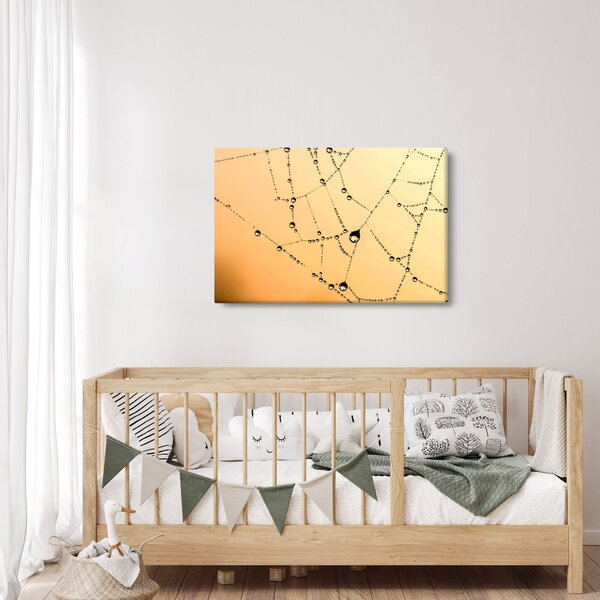Egy harmatos pókháló képe (90x60 cm)