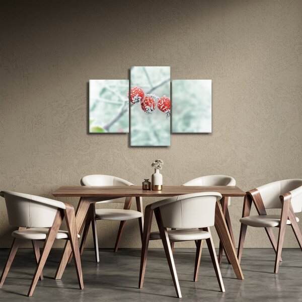 Fagyasztott csipkebogyó képe (90x60 cm)