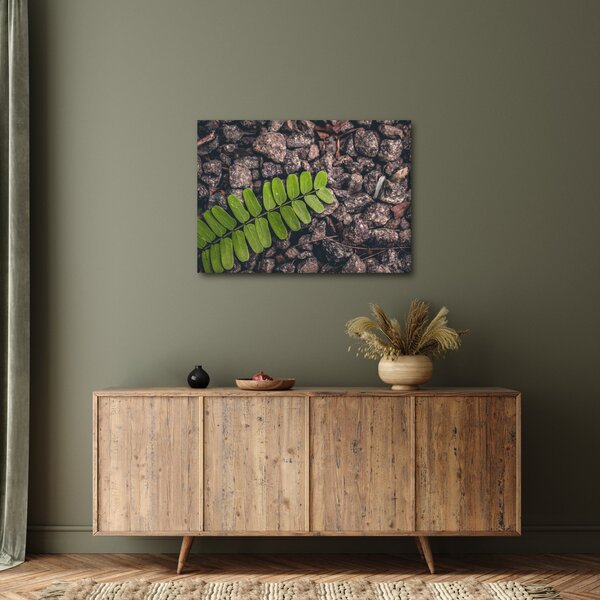 Zöld növények képe (70x50 cm)