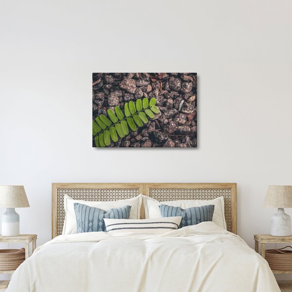 Zöld növények képe (70x50 cm)