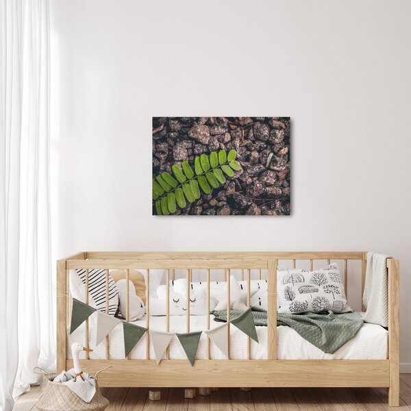 Zöld növények képe (70x50 cm)