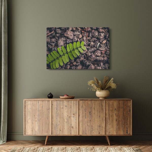 Zöld növények képe (90x60 cm)