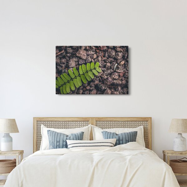 Zöld növények képe (90x60 cm)