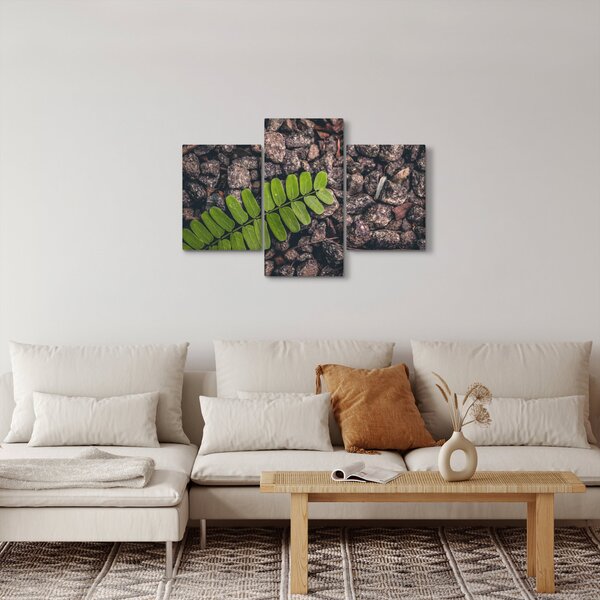Zöld növények képe (90x60 cm)