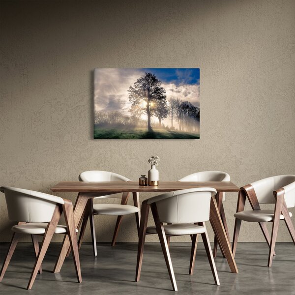 Fa a ködben képe (90x60 cm)
