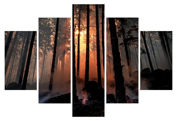 Sötét erdő képe (150x105 cm)