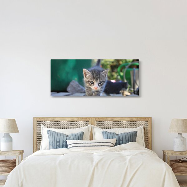 Cica képe (120x50 cm)