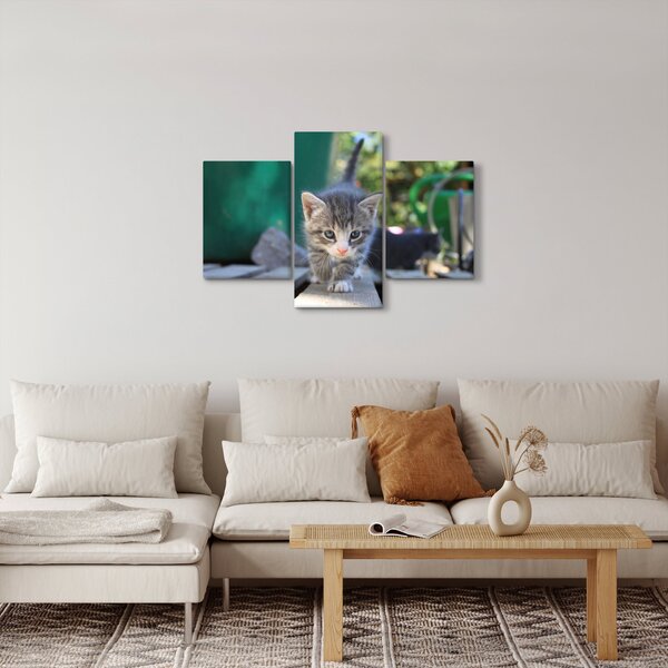 Cica képe (90x60 cm)