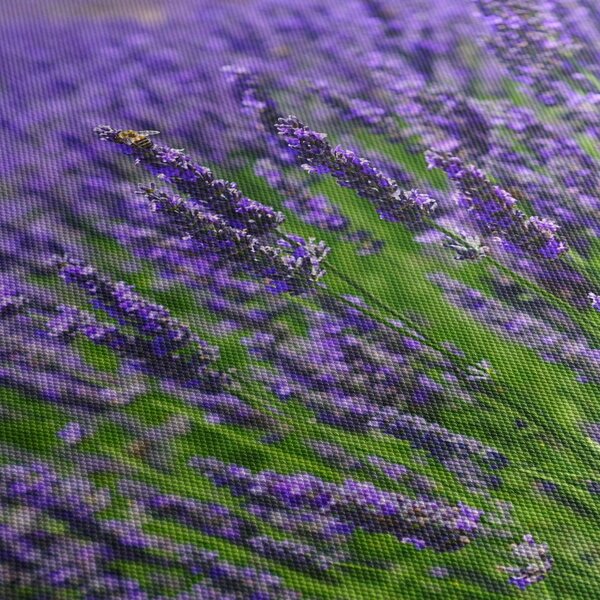 Kép - levandula (150x105 cm)