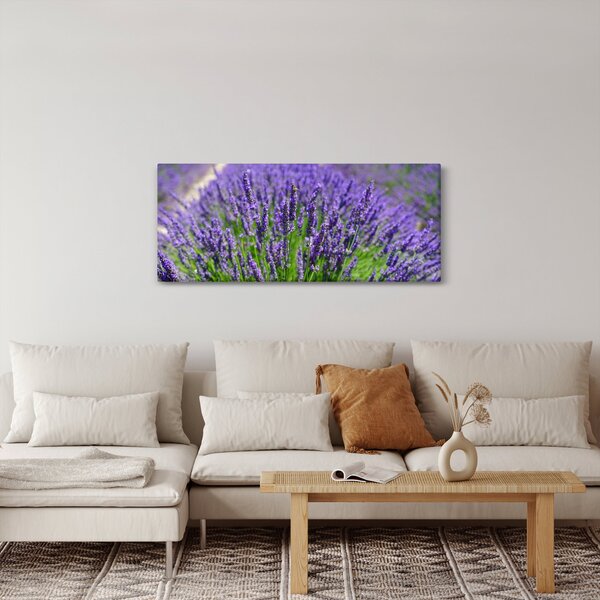 Kép - levandula (120x50 cm)