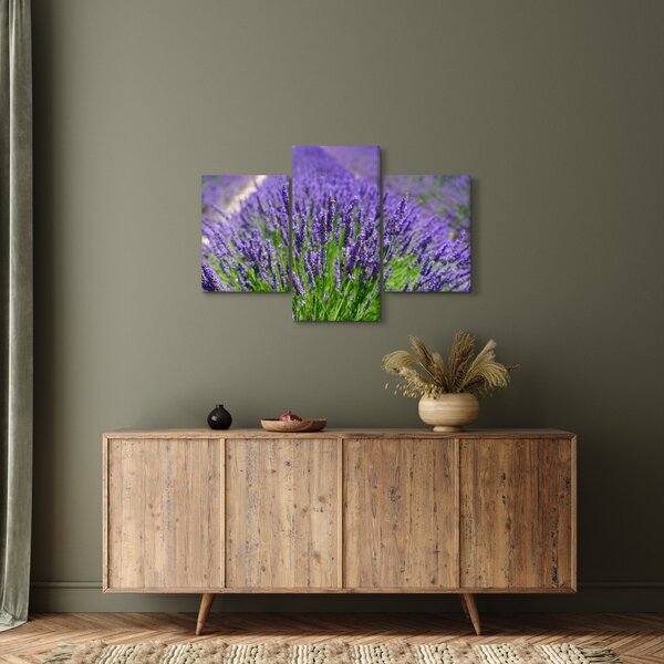 Kép - levandula (90x60 cm)