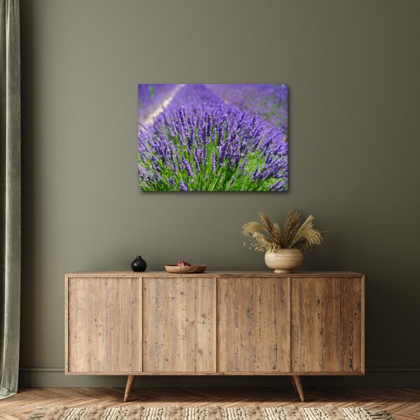 Kép - levandula (70x50 cm)