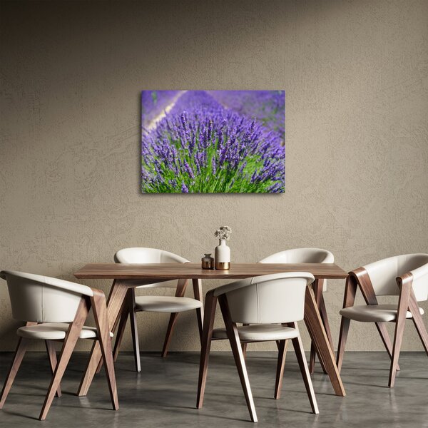 Kép - levandula (70x50 cm)