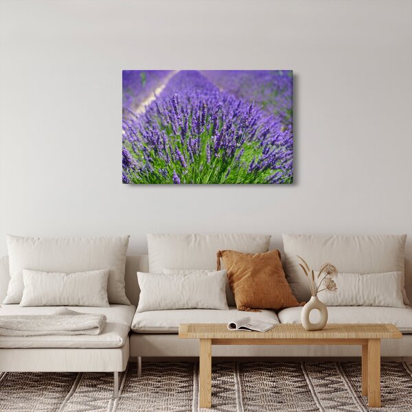 Kép - levandula (90x60 cm)